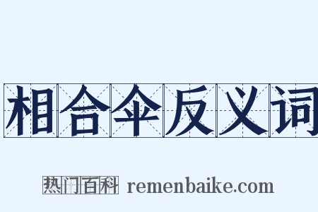 相合伞反义词是什么意思的图片